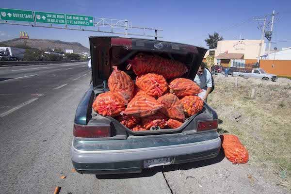 Accidentes múltiples en la 57, sujetos roban carga de zanahorias 3