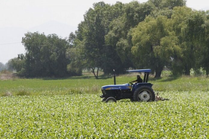 Participará San Juan del Río en Expo Agropecuaria 2018