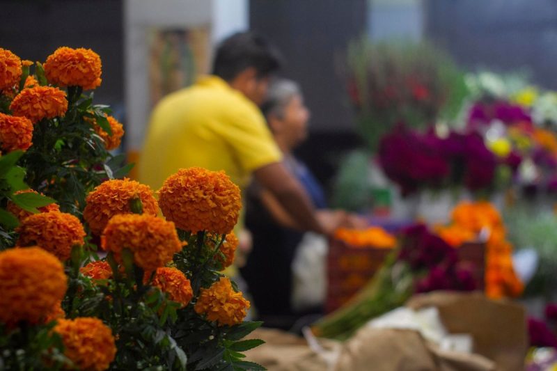 Flor de cempasúchil, ícono representativo del Día de Muertos 1