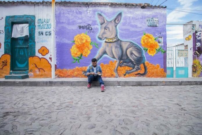 Graffiti como expresión artística | Ruta Mural en San Juan del Río