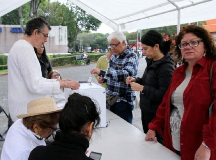 consulta