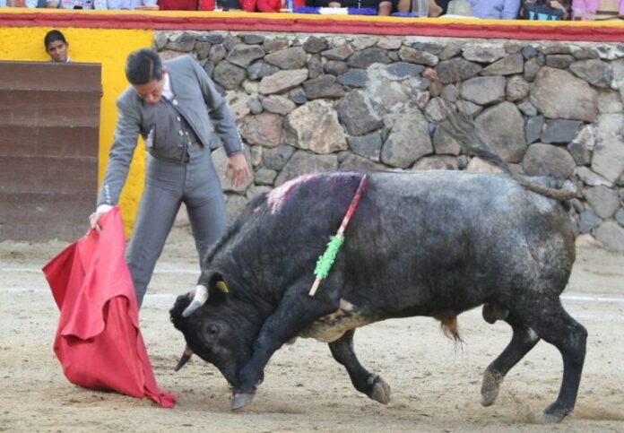 San Juan del Río tiene historia taurina Diego Silveti San Juan del Río tiene historia taurina Diego Silveti