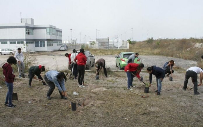Recuperan espacios públicos a través de reforestación, en UAQ Recuperan espacios públicos a través de reforestación, en UAQ