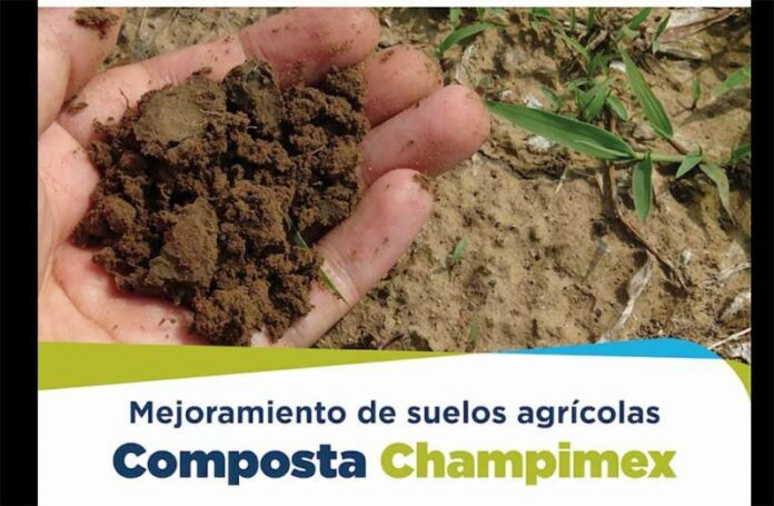 CHAMPIMEX