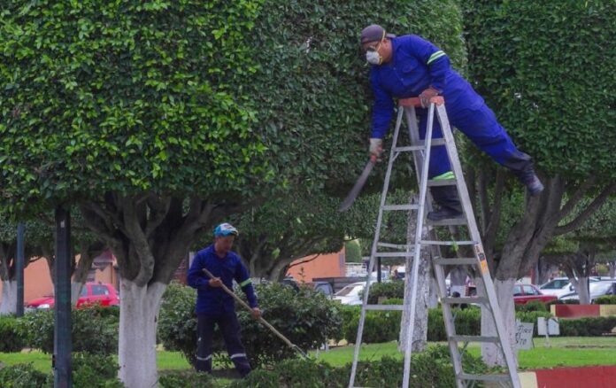 Congelan nómina municipal en San Juan del Río Congelan nómina municipal en San Juan del Río