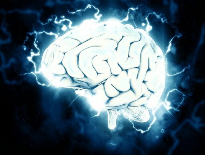 Crearán marcapasos para el cerebro, útil en trastornos neurológicos Crearán marcapasos para el cerebro, útil en trastornos neurológicos
