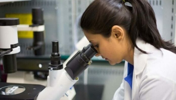 Trabajan en nanoestructuras para proteger implantes óseos de infecciones Trabajan en nanoestructuras para proteger implantes óseos de infecciones