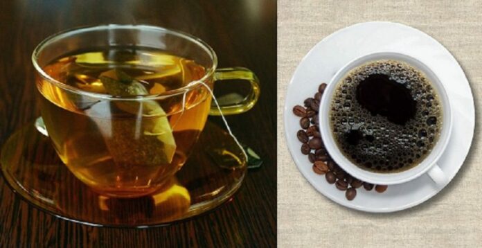 Té y Café comparten molécula estimulante y otras similitudes Té y Café comparten molécula estimulante y otras similitudes