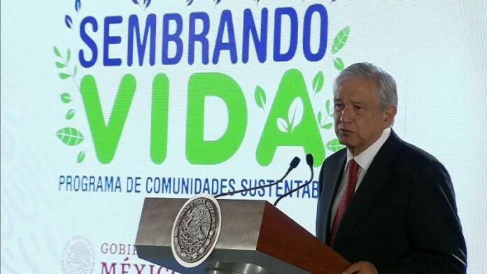 En marcha programa “Sembrando Vida En marcha programa “Sembrando Vida