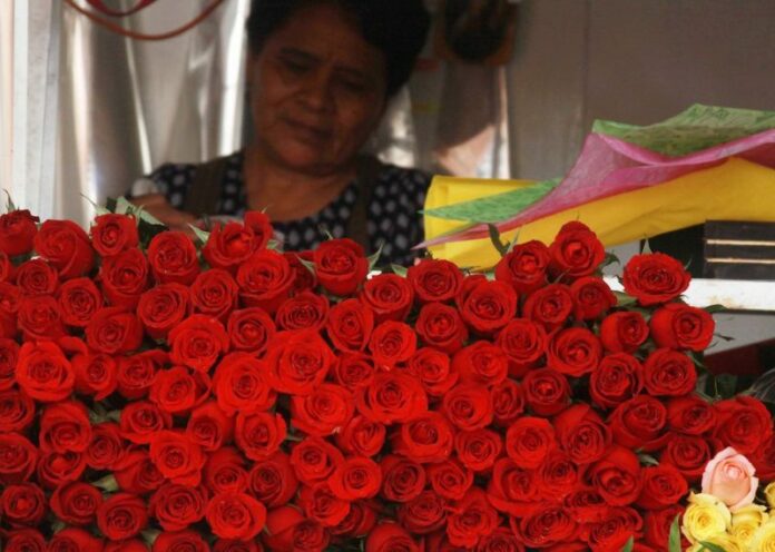 Floricultores van por enamorados este 14 de febrero Floricultores van por enamorados este 14 de febrero