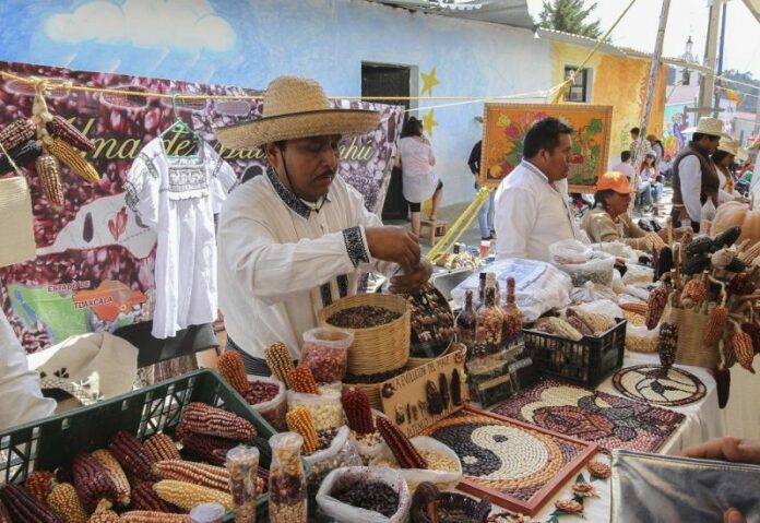 Participa UAQ en la 6ta. Feria del Maíz en San Miguel Tlaxcaltepec, Amealco Participa UAQ en la 6ta. Feria del Maíz en San Miguel Tlaxcaltepec, Amealco