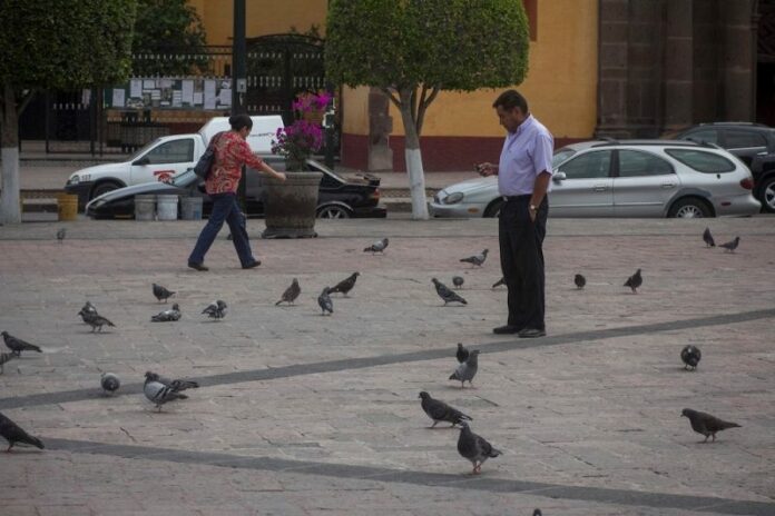 Comerciantes del centro contribuyen a disminuir la inseguridad en SJR Comerciantes del centro contribuyen a disminuir la inseguridad en SJR