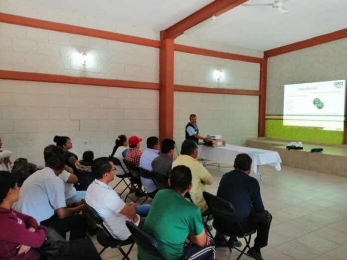 Enseñan buenas prácticas en manejo de alimentos a vendedores de P. Escobedo Enseñan buenas prácticas en manejo de alimentos a vendedores de P. Escobedo