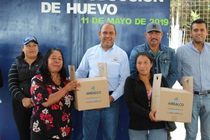 Rosendo Anaya entrega 10 mil pollas de postura en Amealco Rosendo Anaya entrega 10 mil pollas de postura en Amealco