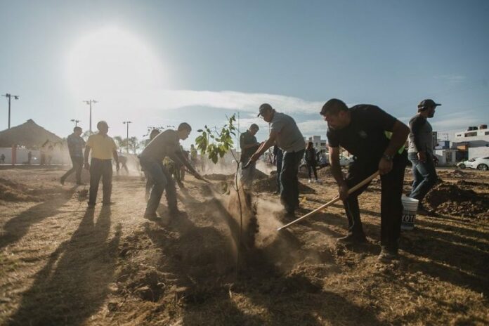 Plantan 2400 árboles en Semana de Reforestación en SJR Plantan 2400 árboles en Semana de Reforestación en SJR
