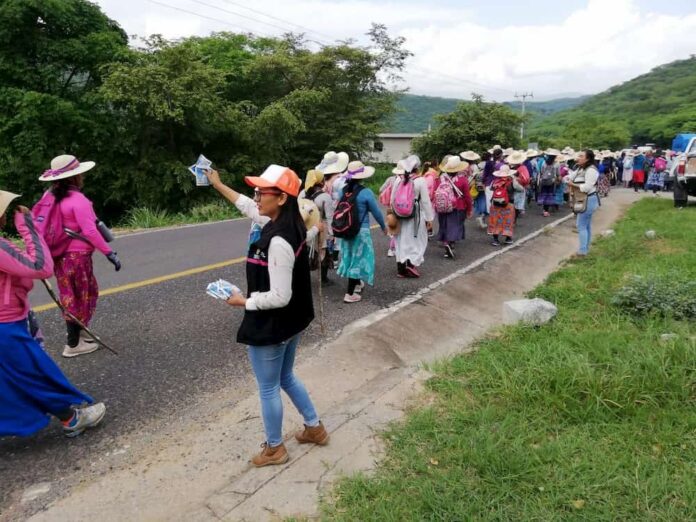 Informa SESEQ avances de operativo sanitario en la Peregrinación hacia el Tepeyac Informa SESEQ avances de operativo sanitario en la Peregrinación hacia el Tepeyac