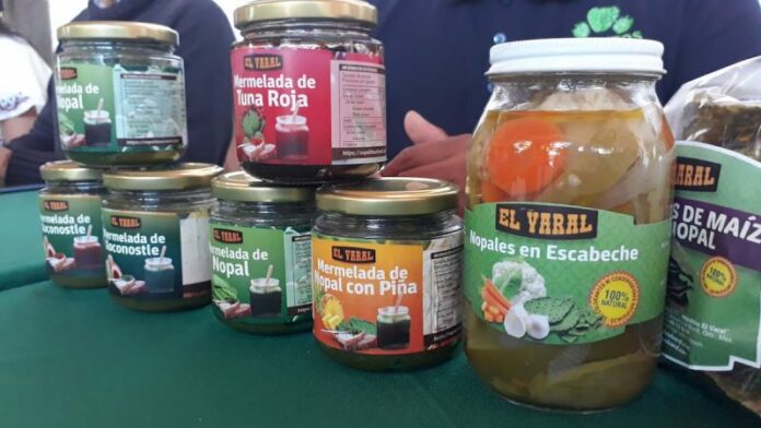 Presentan Feria del Nopal 2019 en Amealco Presentan Feria del Nopal 2019 en Amealco