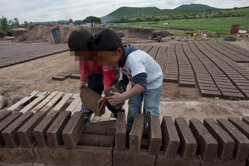 Rescatan a 8 menores que laboraban en granja de Huimilpan Querétaro
