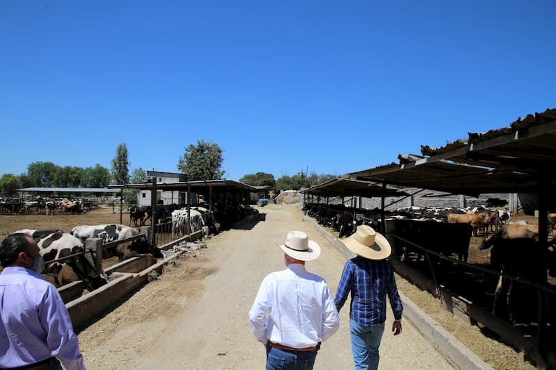 SEDEA impulsa estrategias para productores de leche