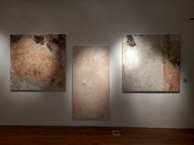La Galería Libertad en Querétaro presentó la exposición “Bajo la piel”