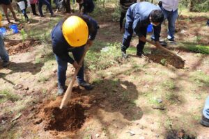 SEDEA inicia trabajos de reforestación en municipios serranos de Querétaro