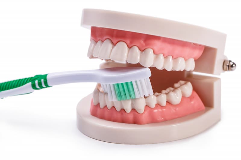 SESA recomienda el cuidado de los dientes para evitar enfermedades bucodentales