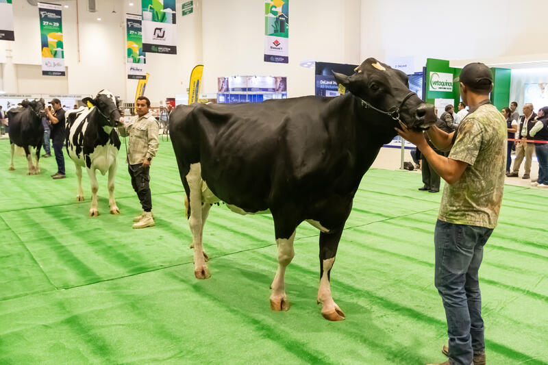 Lupita Murguía inaugura el 12° Foro Nacional Holstein 2023 en Querétaro