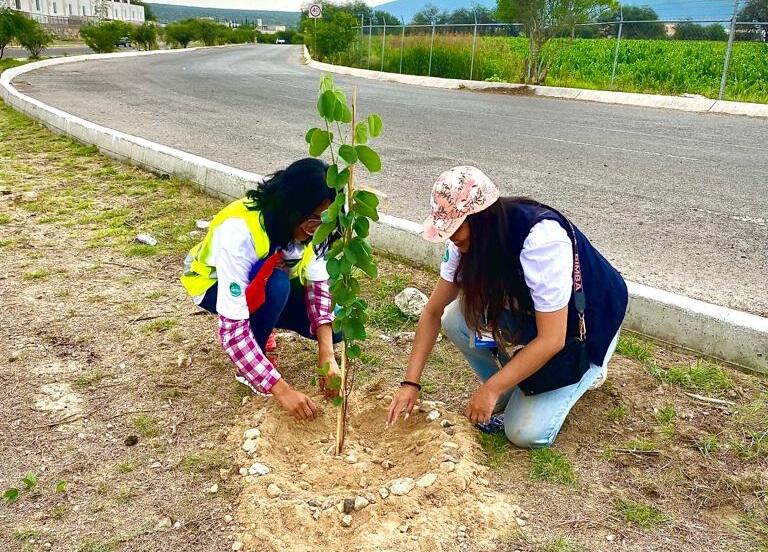 Municipio de San Juan del Río y empresas colaboran en reforestación para la conservación del medio ambiente