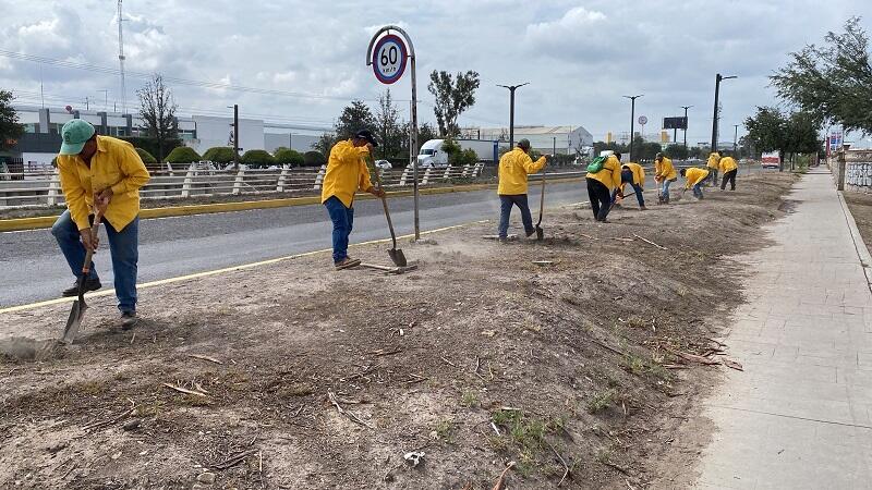 Diputada Marcia Solórzano promueve reforestación en San Juan del Río