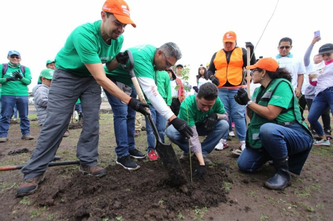 San Juan del Río y Iberdrola México hacen equipo para reforestar Laguna de Vaquerías