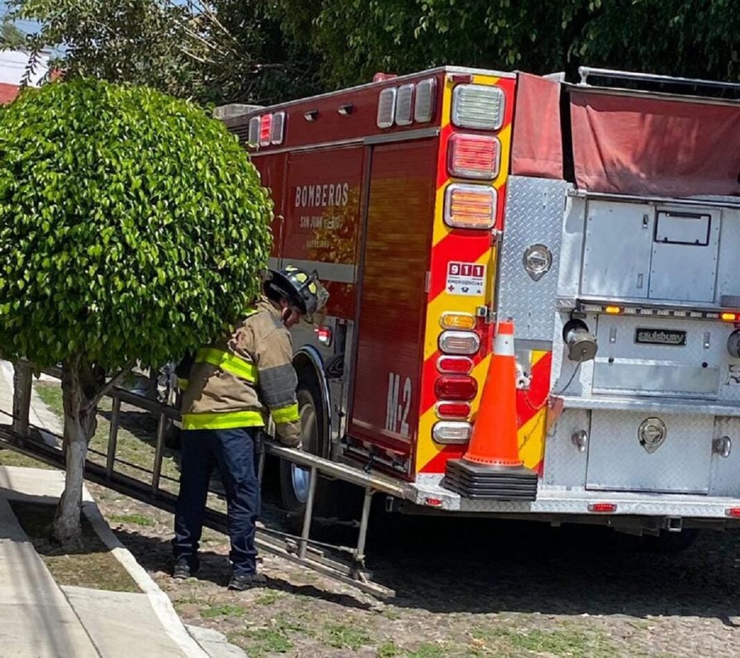 Bomberos retiran enjambre de abejas en el fraccionamiento Los Espárragos en San Juan del Río