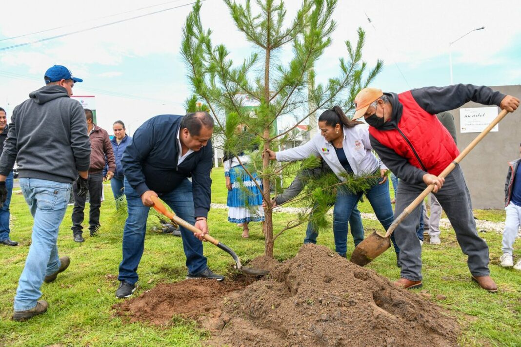 El Presidente Municipal René Mejía Planta el Árbol Número 1 Millón