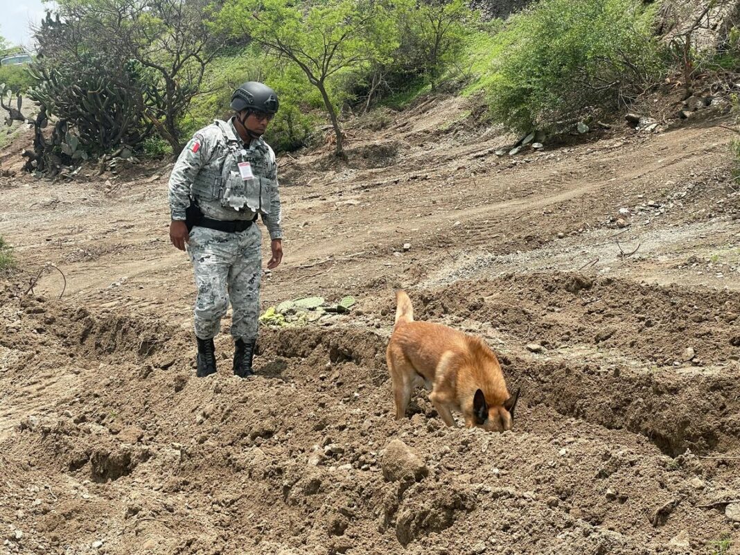 Existió un tercer cuerpo en Santa Bárbara La Cueva, afirmó Colectivo 