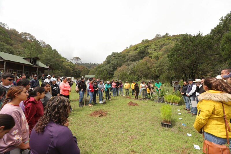 SEDEA impulsa la reforestación en San Joaquín para restaurar la biodiversidad