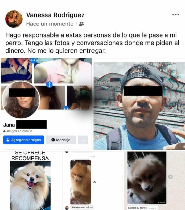 Extorsionan a familia al intentar recuperar a su mascota extraviada en San Juan del Río