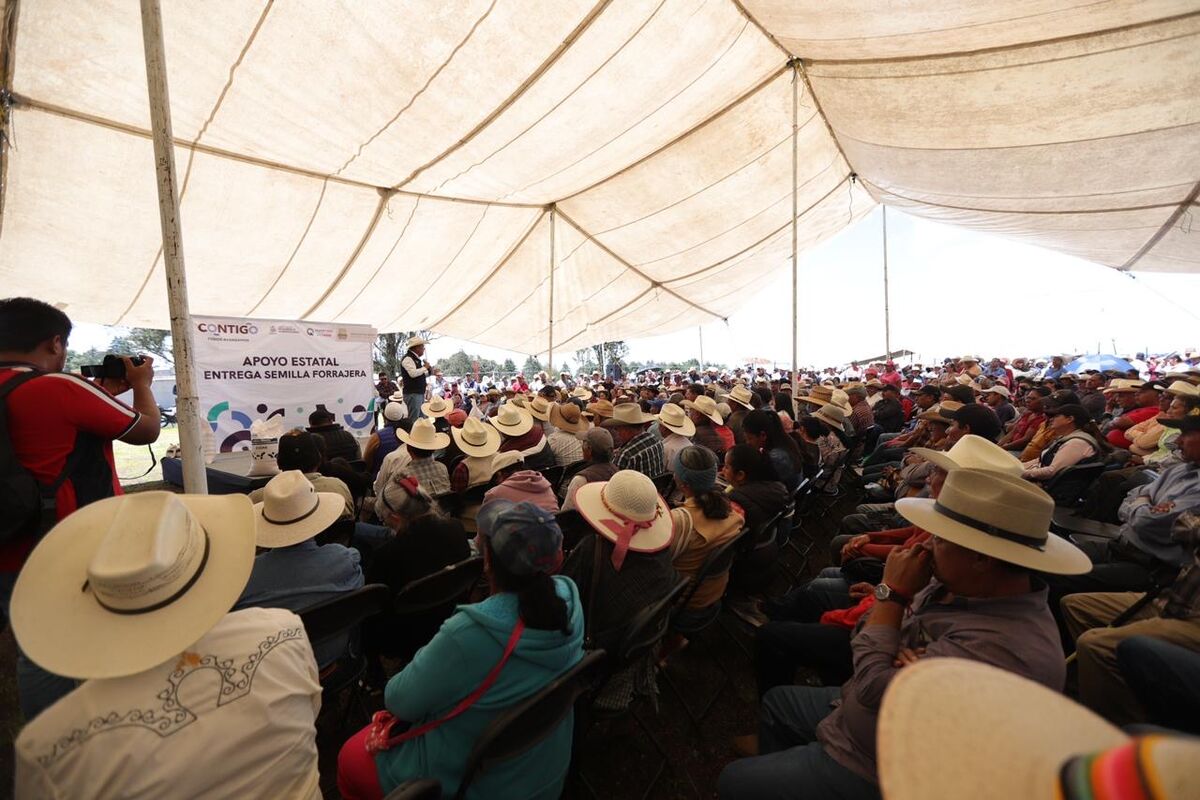 SEDEA apoya a productores de Amealco y Huimilpan con semillas para cultivos forrajeros