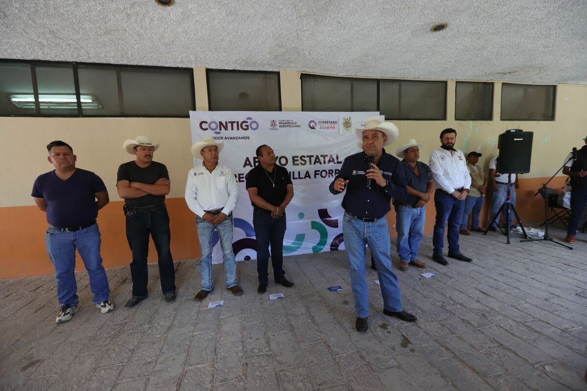 SEDEA entrega semilla para cultivos forrajeros a productores de San Joaquín, Peñamiller y Tolimán