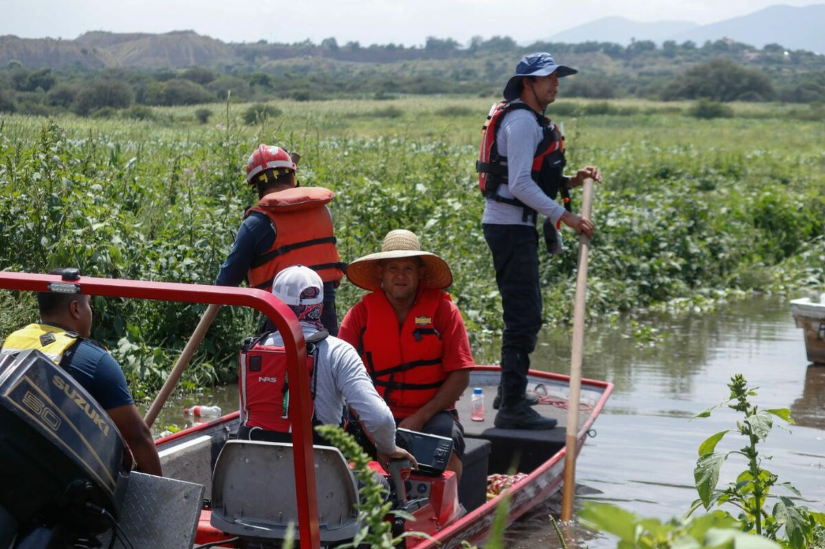 Integran binomios caninos a la búsqueda de joven desaparecido en El Rosario, San Juan del Río