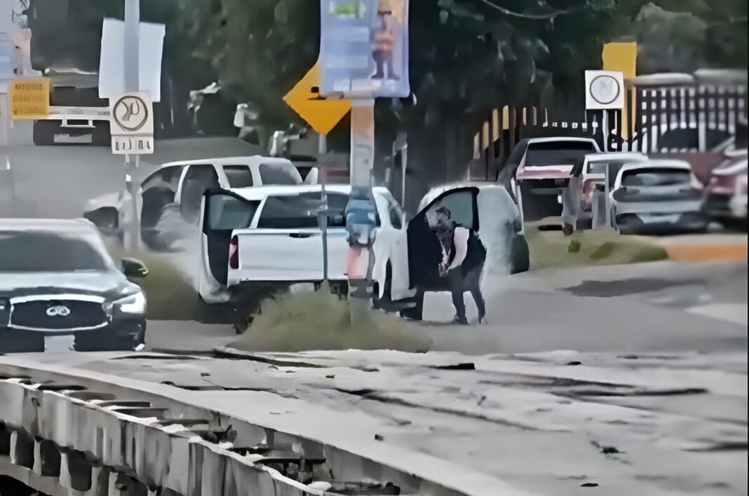 Balacera en intento de secuestro de empresario en Corregidora, Querétaro