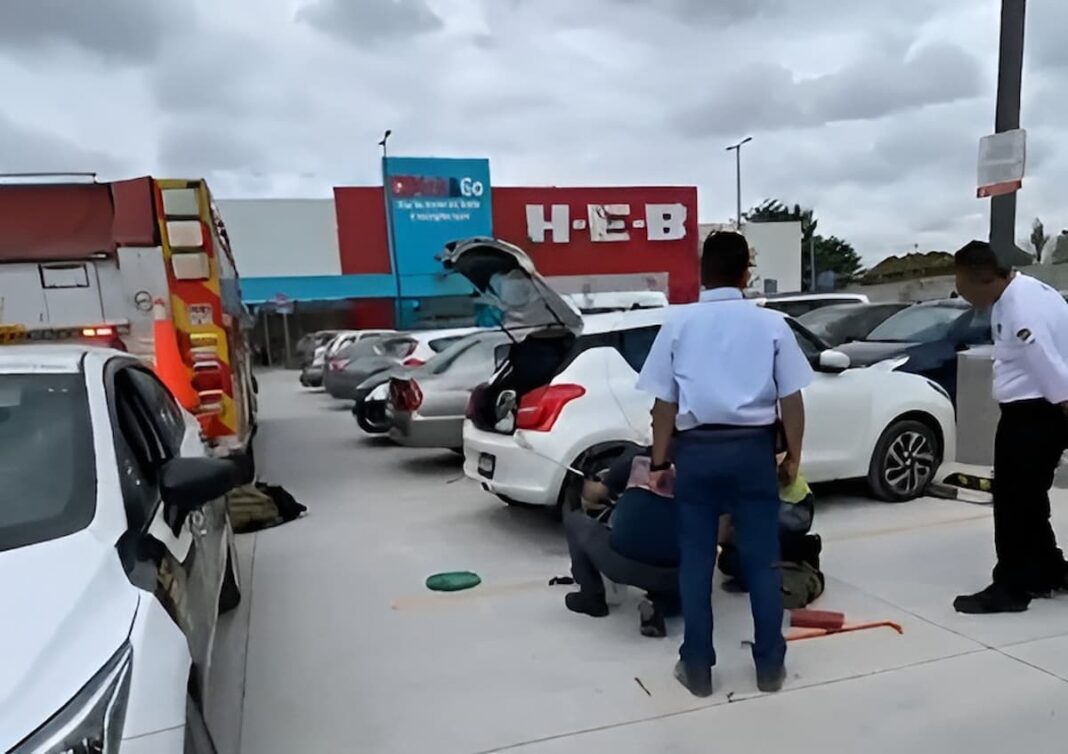 Encuentran víbora de cascabel en estacionamiento de HEB San Juan del Río