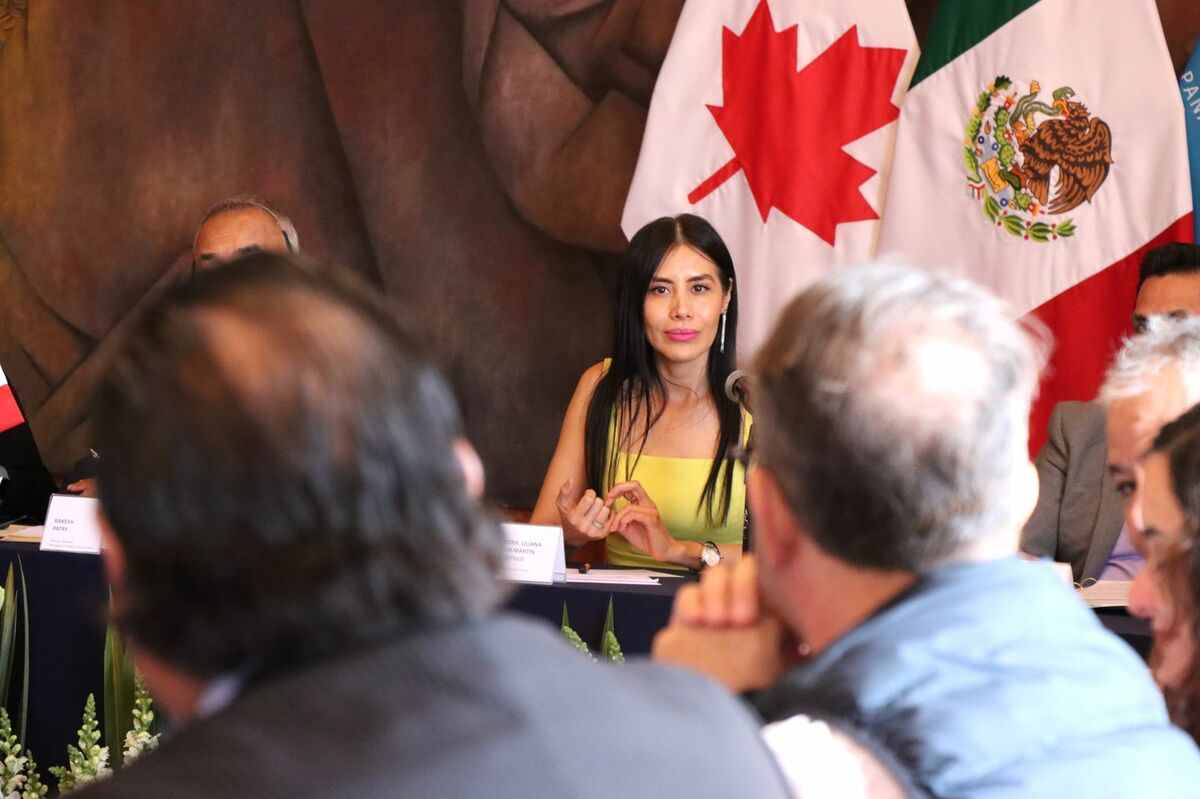 Secretaría del Trabajo se reunió con autoridades laborales de Canadá