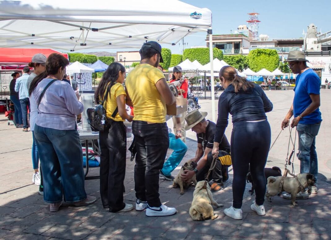 Llevarán a cabo Primer Foro de Protección Animal y Ambiental de San Juan del Río