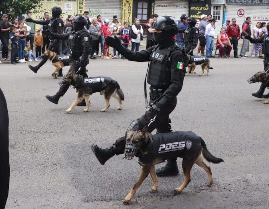 San Juan del Río formará binomios caninos con perros rescatados