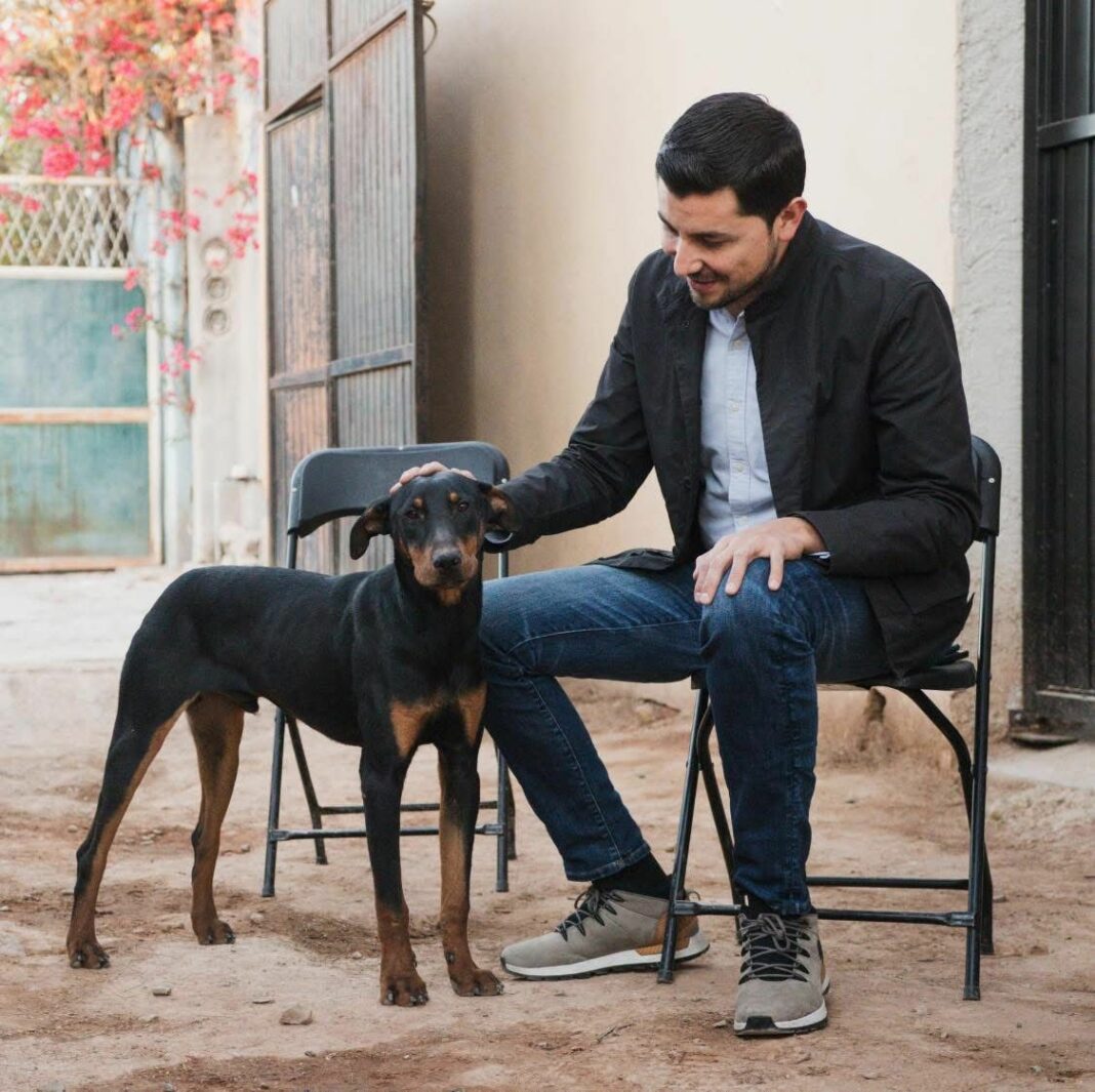 Tequisquiapan impulsa el bienestar animal con campañas de esterilización