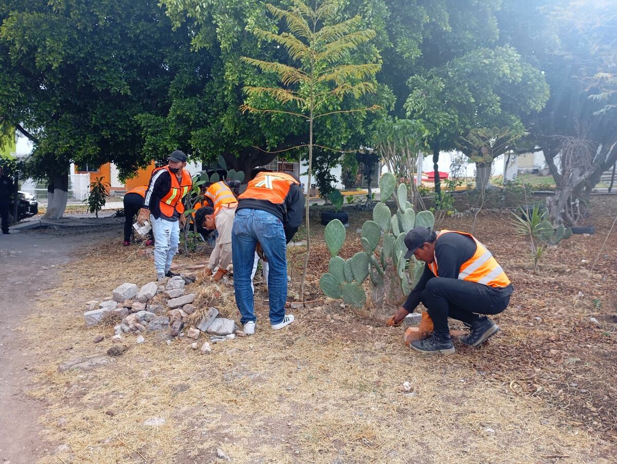 Infractores realizan trabajos comunitarios en San Juan del Río