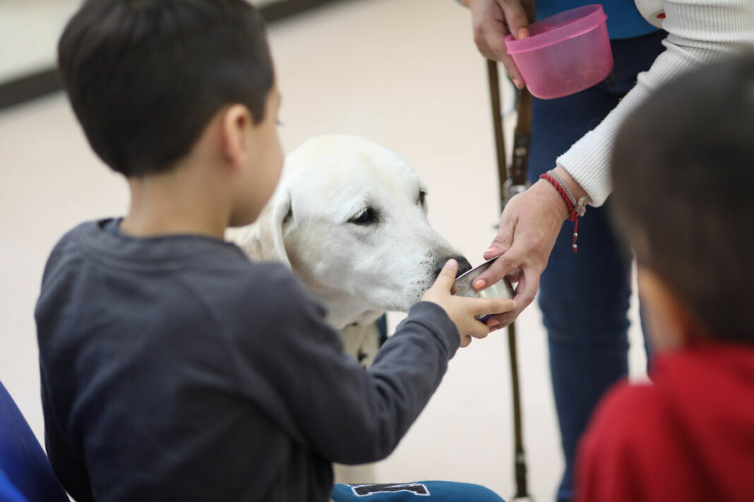 Inicia SEDIF servicio de caninoterapia en el Centro de Rehabilitación Integral de Querétaro