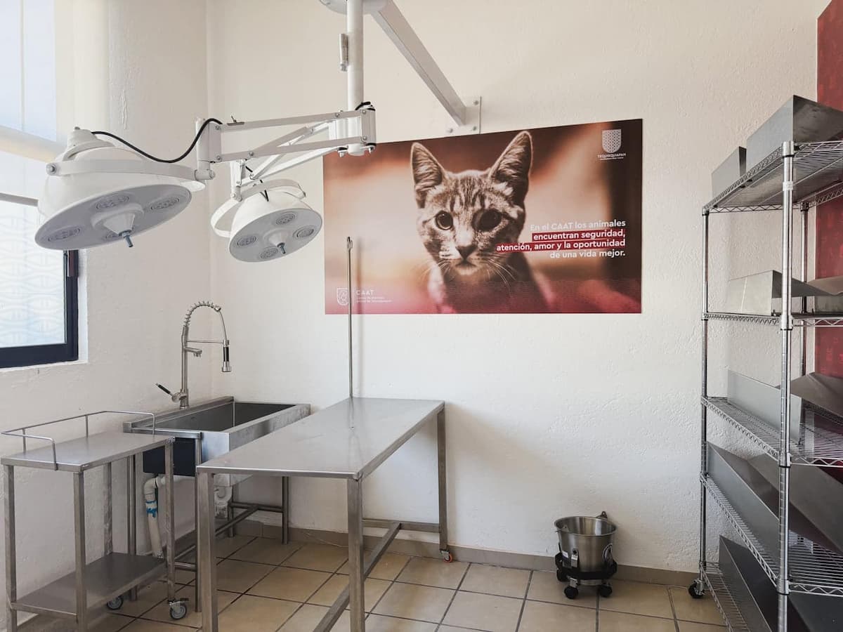 Alcalde Héctor Magaña inaugura nuevo Centro de Atención Animal de Tequisquiapan