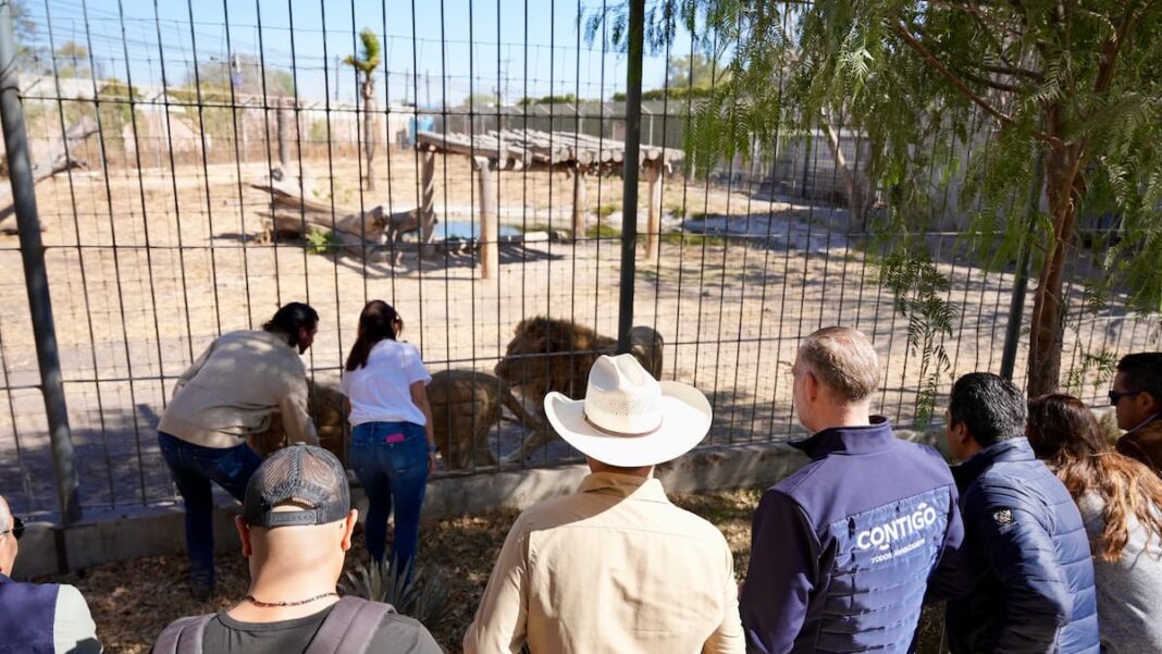 Autoridades realizan recorrido en el Parque Zoológico Wameru