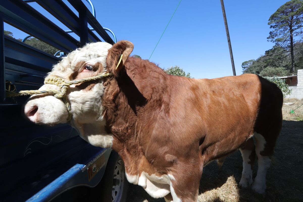 Entregan apoyos por más de seis millones de pesos a productores de San Joaquín