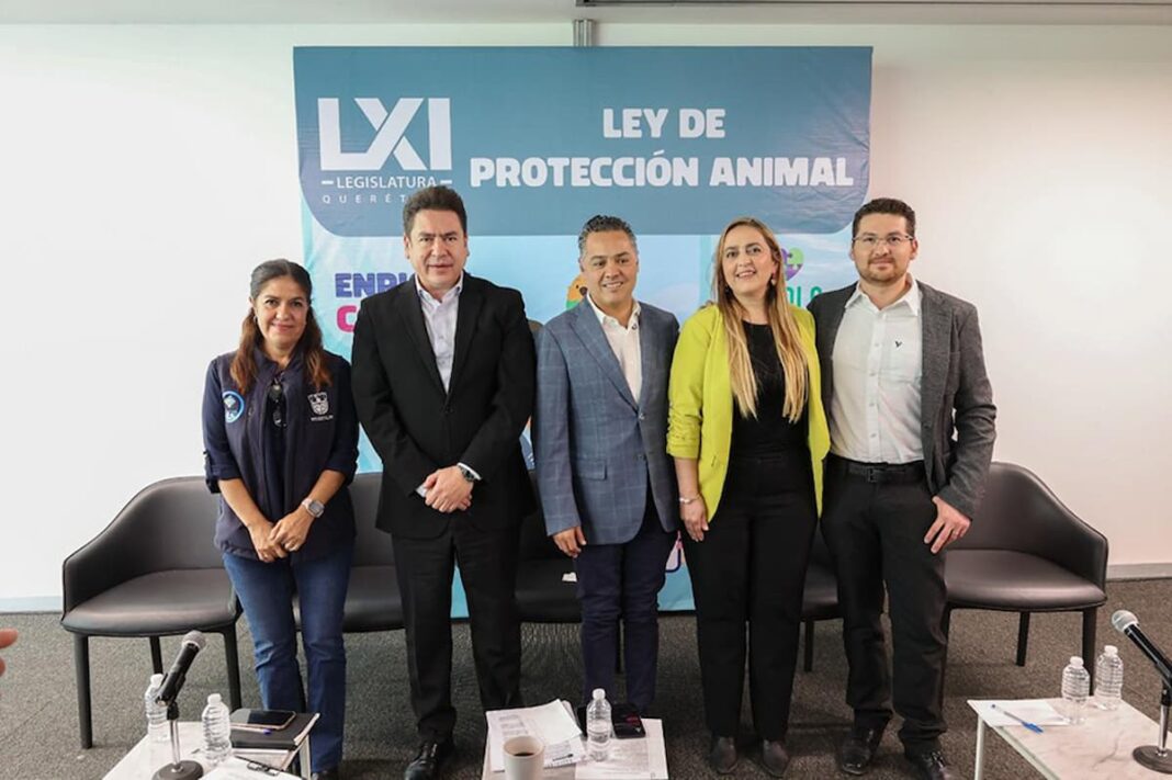 Foro Ciudadano impulsa la construcción de la Ley de Protección Animal en Querétaro